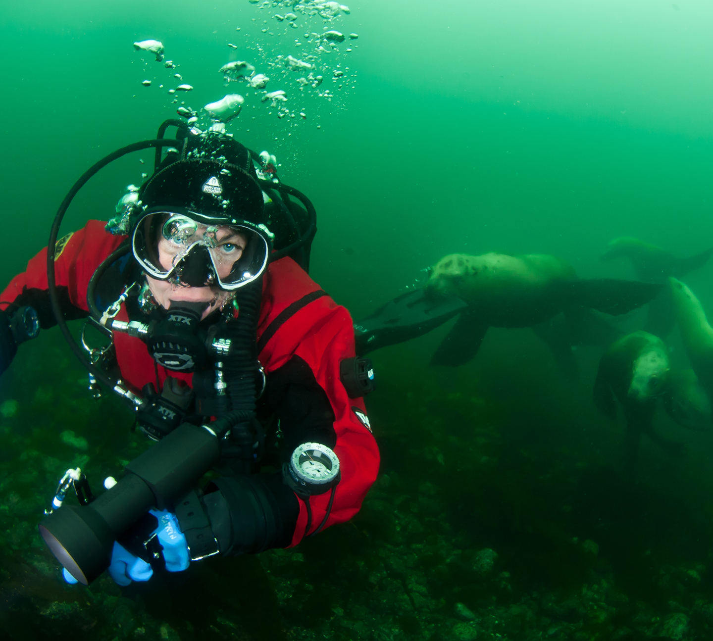 GUE diver with seals